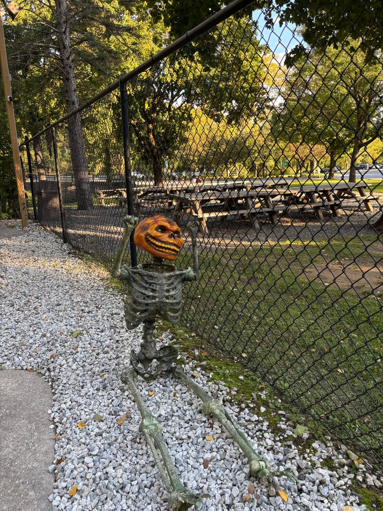 Skeleton holding pumpkin head leaning against fence in park along gravel path with trees